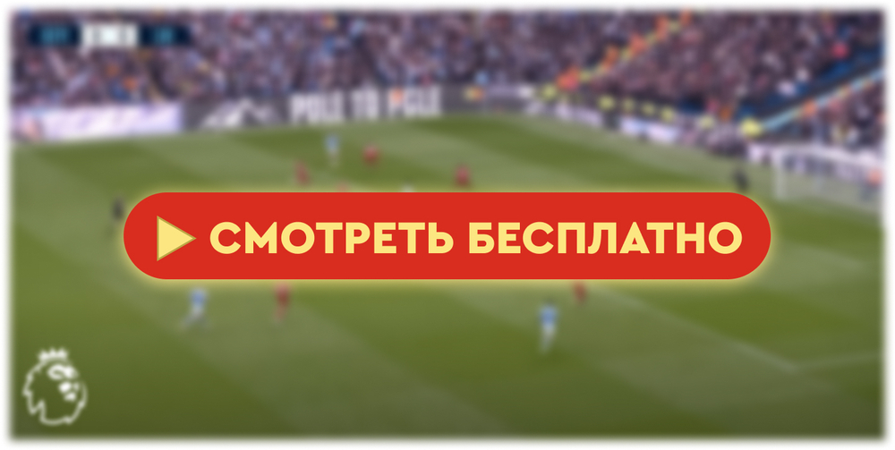 «Ньюкасл» – «Брайтон»: смотреть прямую трансляцию онлайн бесплатно, 11 мая 2024